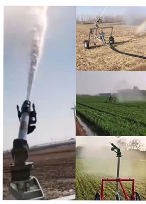 Équipement d'irrigation agricole de 11 kW Machine d'irrigation à serpentine de tuyau à pulvérisation