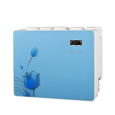 Facile à utiliser Système d'osmose inverse Purificateur de filtre à eau domestique avec couverture de poussière