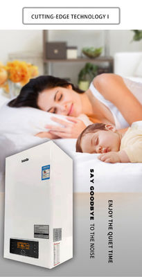 Molde privé 24KW chaudière à gaz murale pour le chauffage domestique chauffe-eau instantanée au gaz sans réservoir