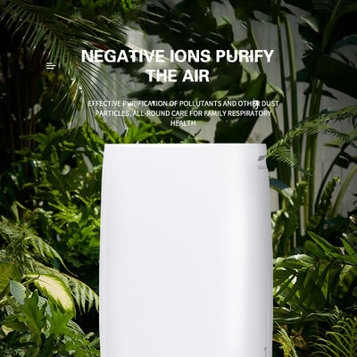 Déshumidificateur électrique à domicile avec purificateur d'air 11KG 30L capacité de déshumidification