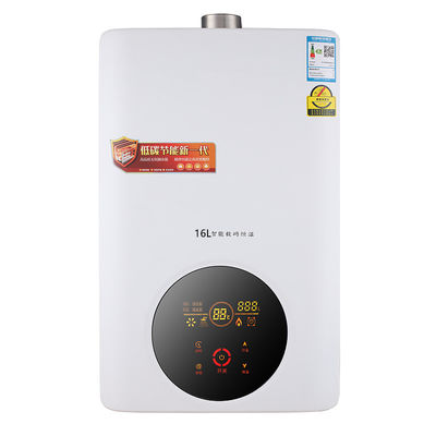 220V 36W chauffe-eau à gaz de combustion ouvert pour l'eau chaude instantanée dans l'appareil électroménager