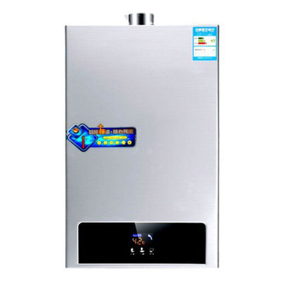 220V 36W chauffe-eau à gaz de combustion ouvert pour l'eau chaude instantanée dans l'appareil électroménager