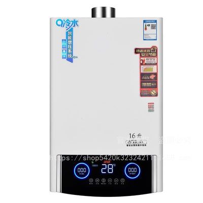 Source d'alimentation chauffe-eau extérieure à gaz pour les camping-cars à température constante et l'eau chaude