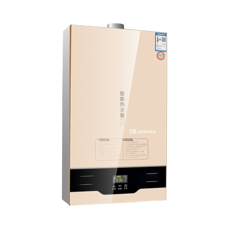 220V 36W chauffe-eau à gaz de combustion ouvert pour l'eau chaude instantanée dans l'appareil électroménager